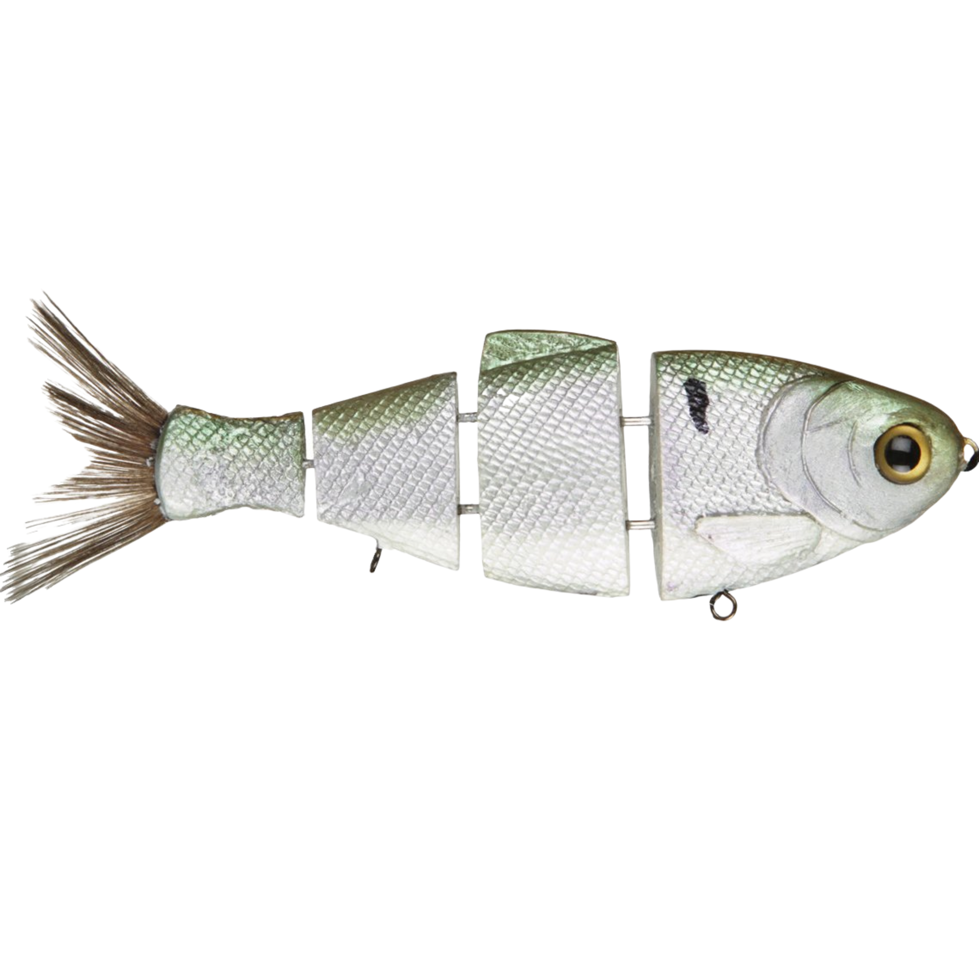 Bull Shad Slow Sink by Bull Shad Swimbaits product image 3 of 4