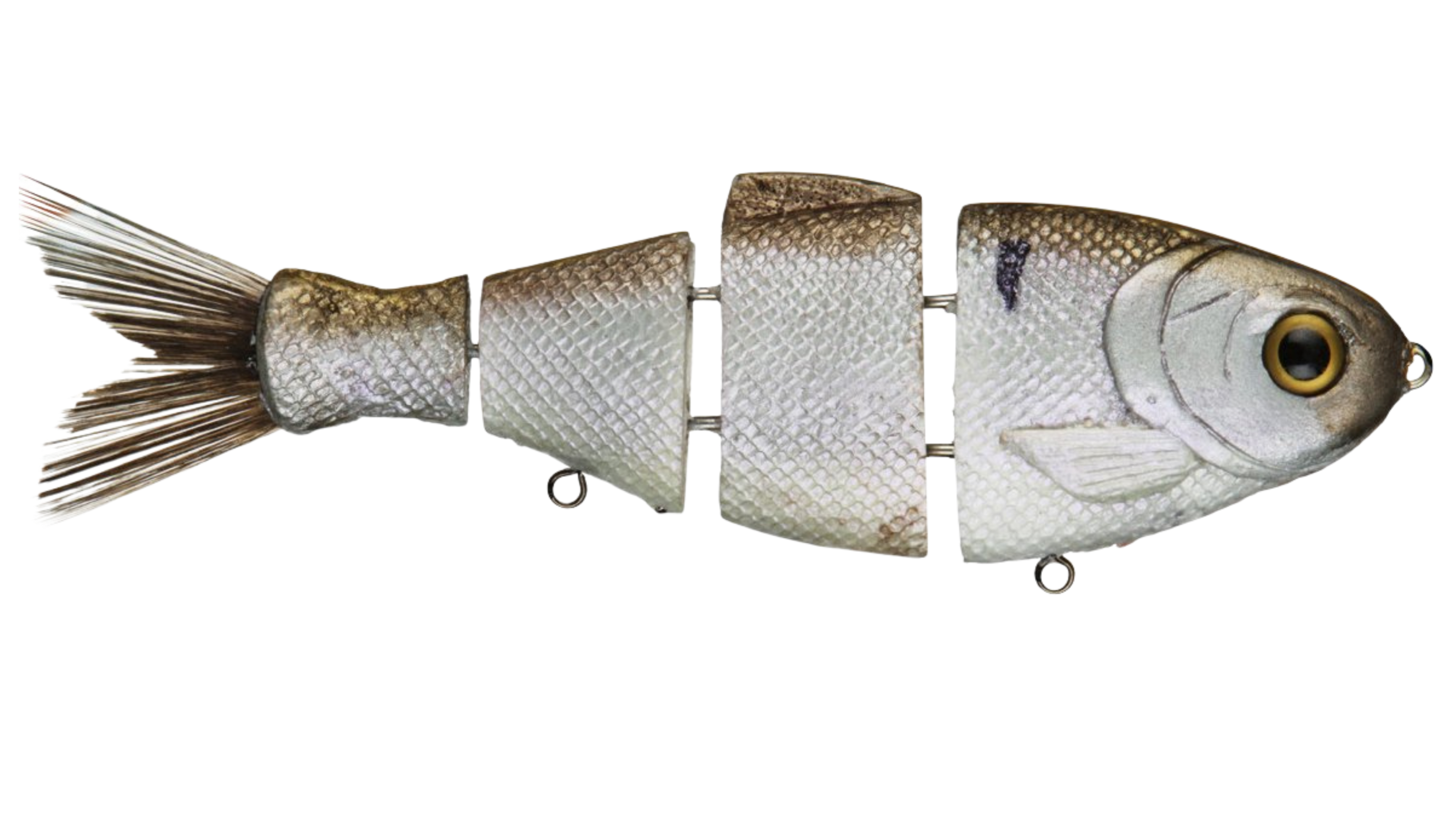 Bull Shad Slow Sink by Bull Shad Swimbaits product image 1 of 4