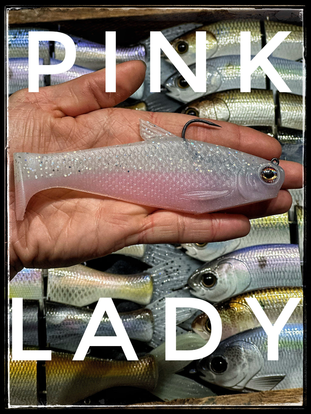 6" Bacca Burrito Medium Sink by Bull Shad Swimbaits product image 18 of 19