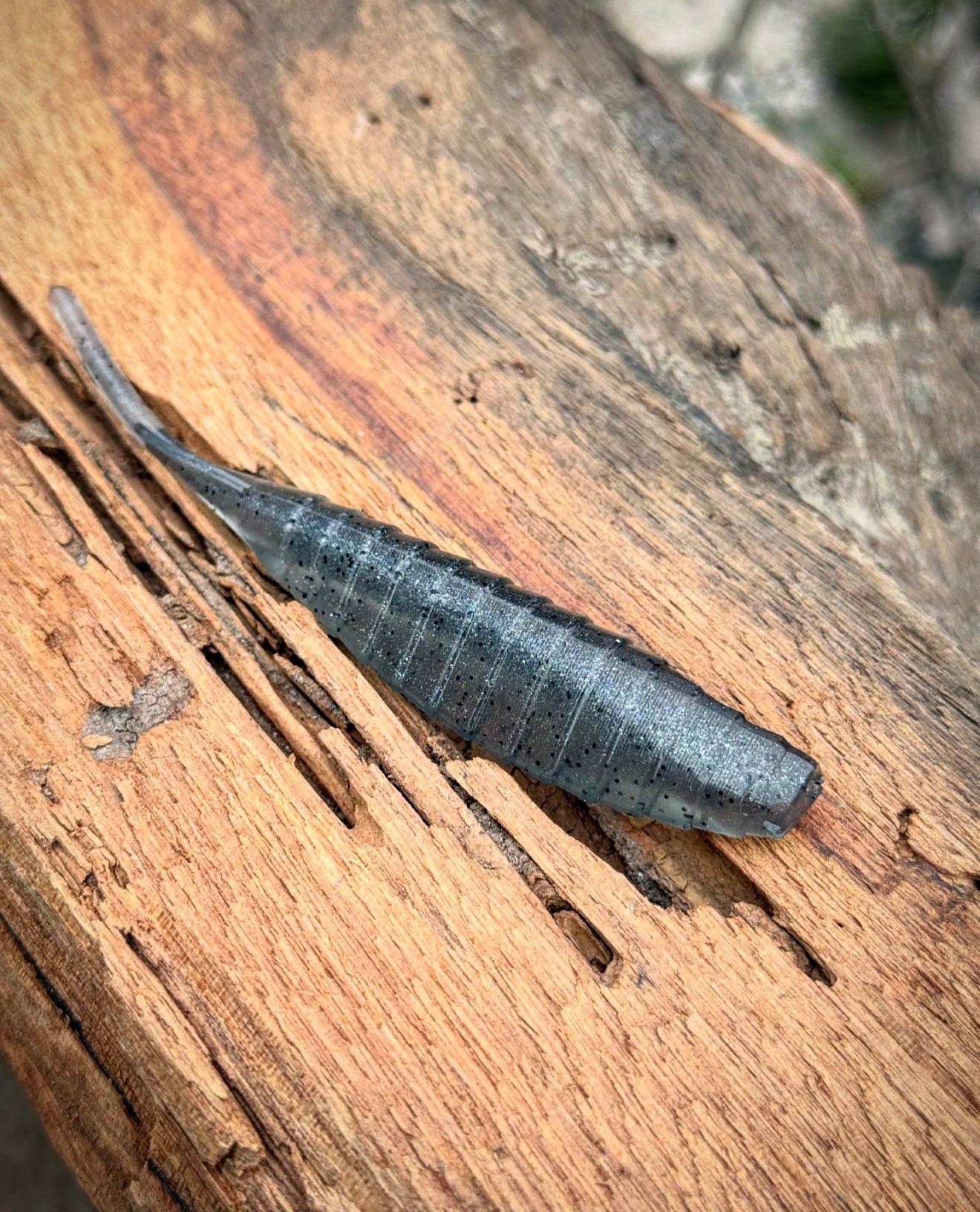 Fish or Die SHIV hand-poured soft plastic bait - close-up detail