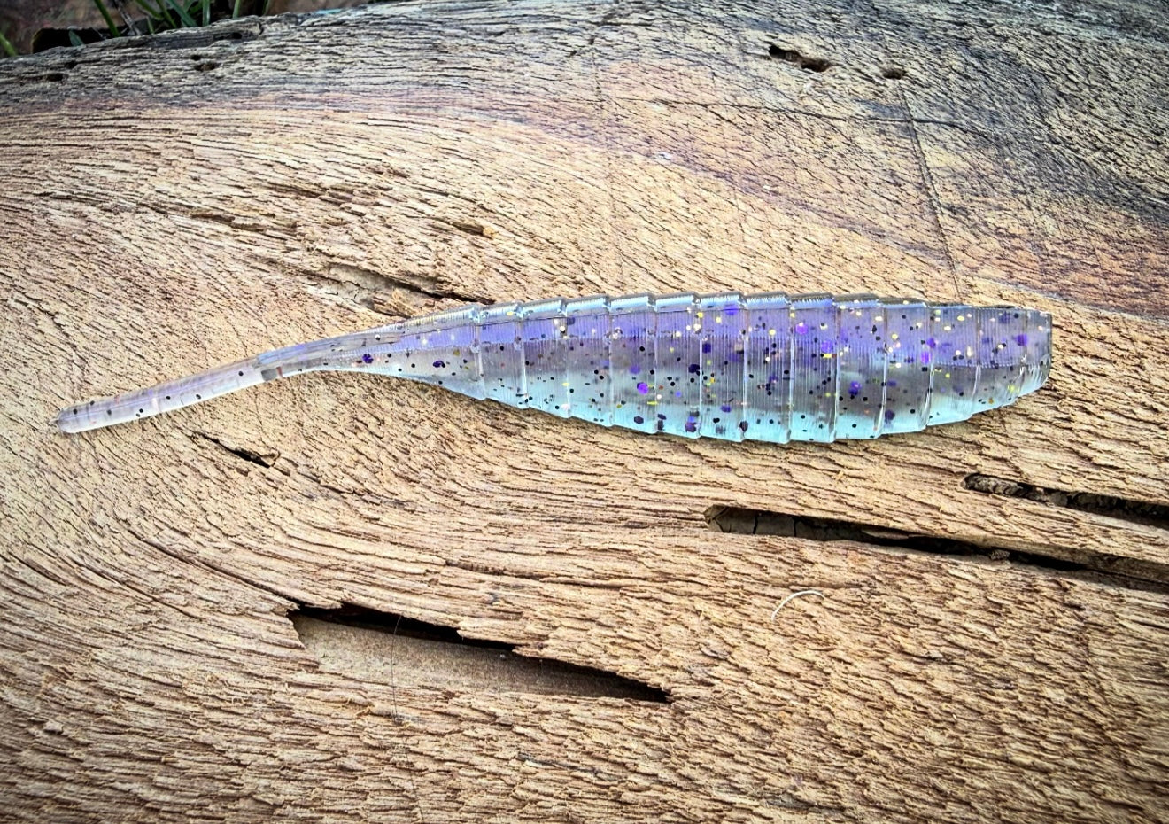 Fish or Die SHIV - Fog Of War