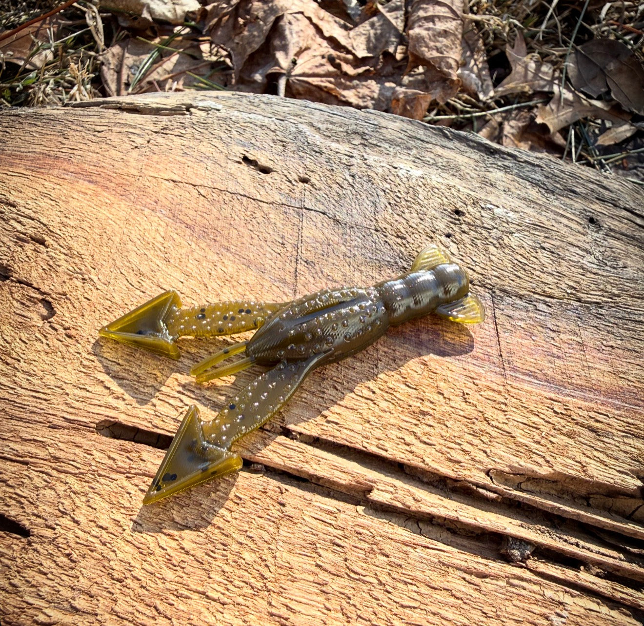 Green Dragon (Green Pumpkin)