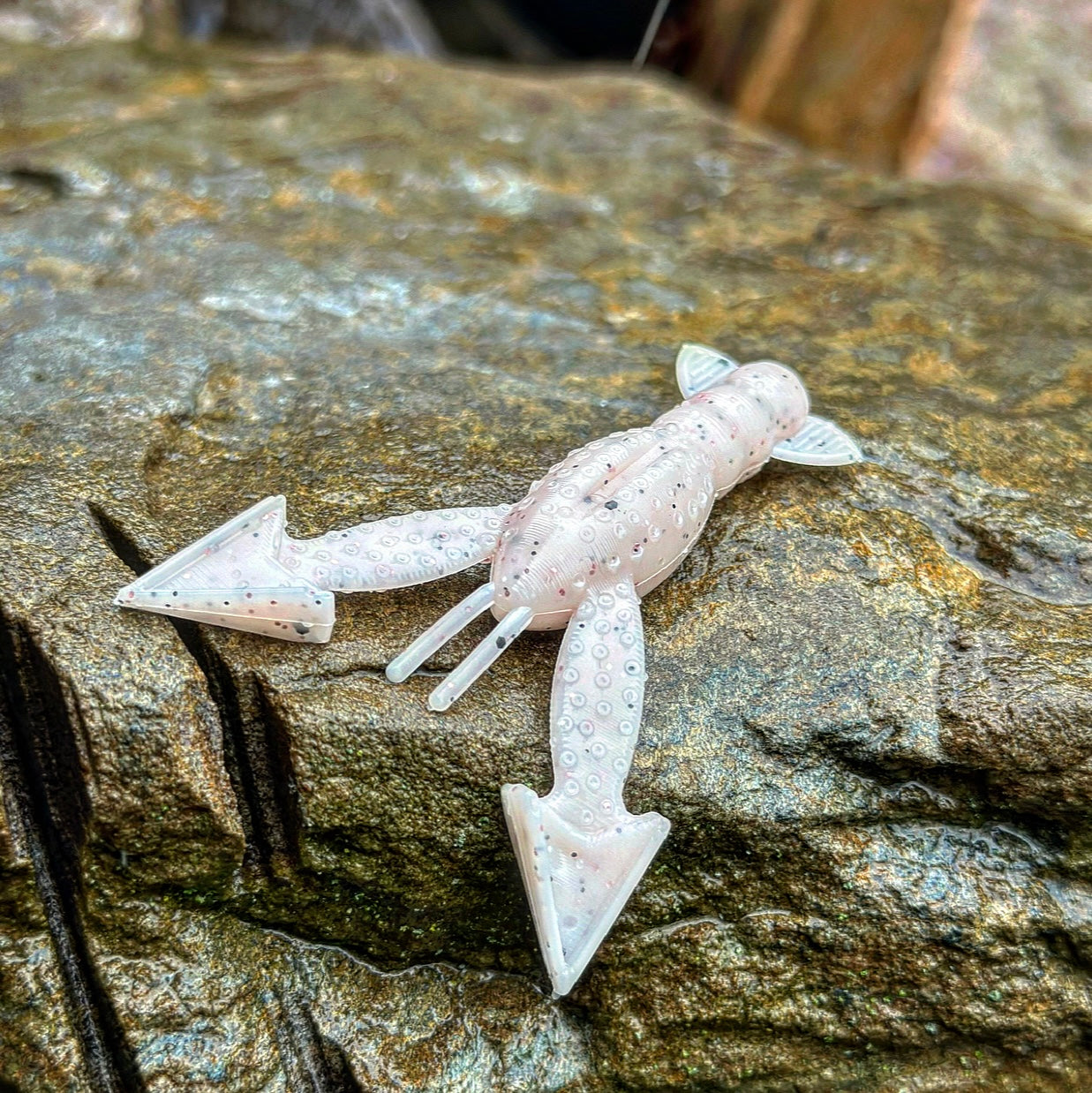 Fish or Die Patriot - Scalawag (Shrimp)