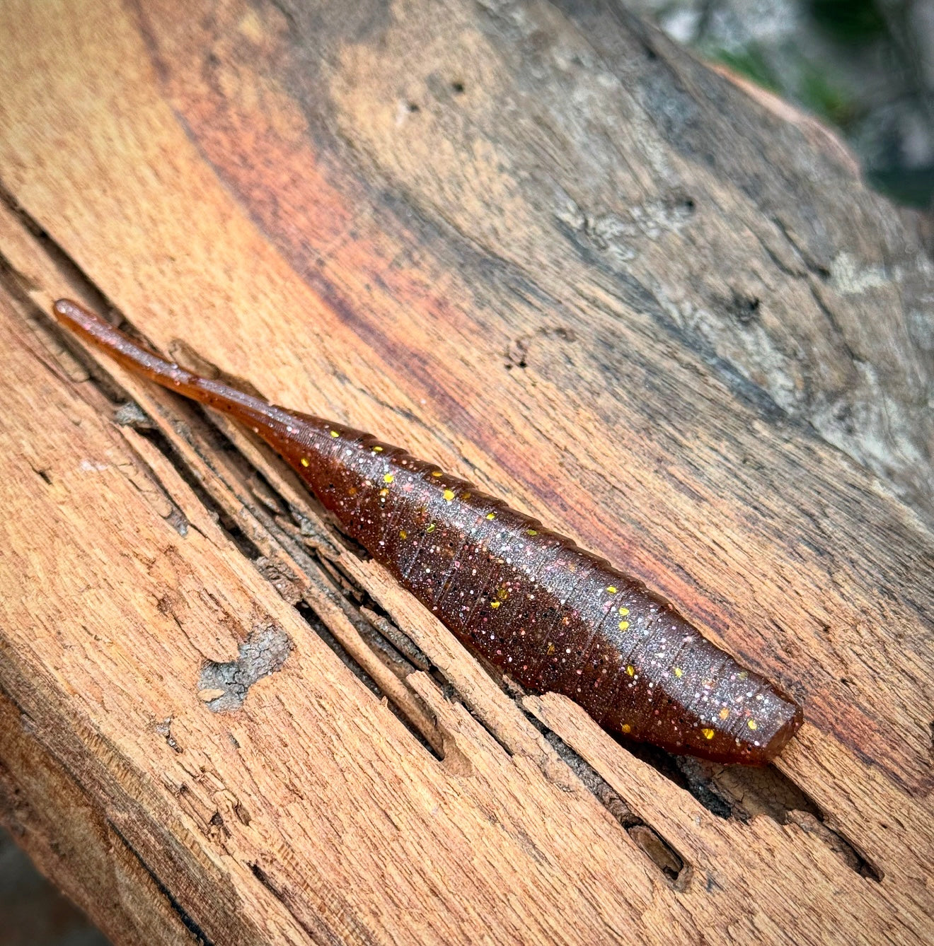 Fish or Die SHIV hand-poured soft plastic bait - in action