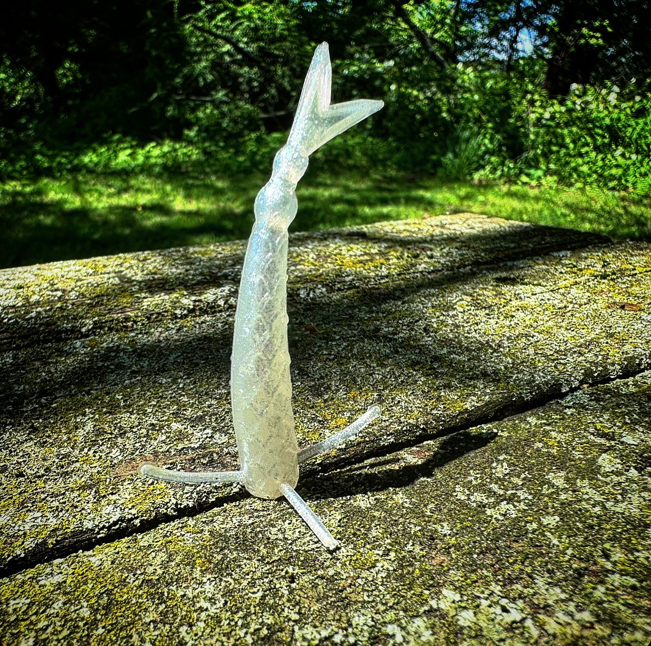 Fish or Die Sharpshooter hand-poured soft plastic bait - close-up detail