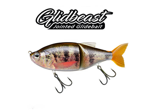 Biwaa Glidbeast 145S