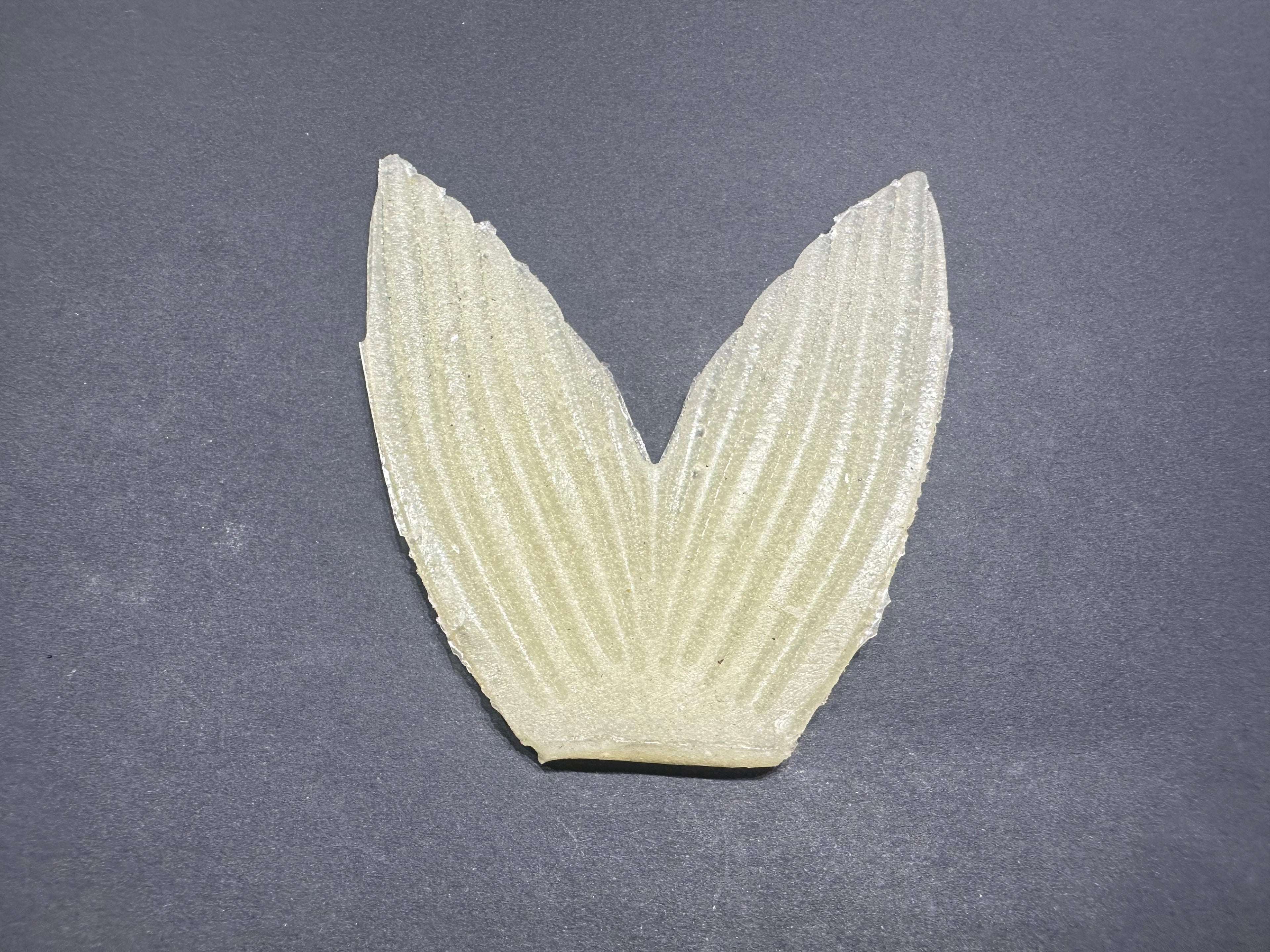 Trick Shad and Gill Replacement Tails by Bull Shad Swimbaits product image 4 of 8