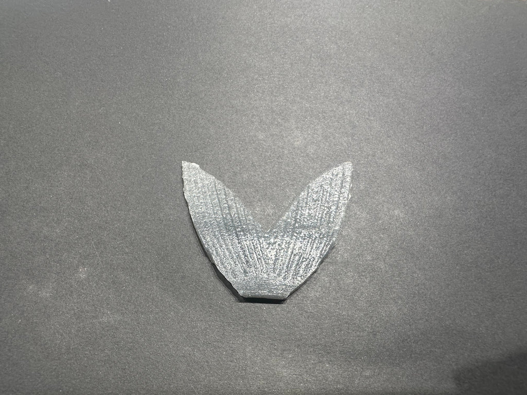 Trick Shad and Gill Replacement Tails by Bull Shad Swimbaits product image 8 of 8