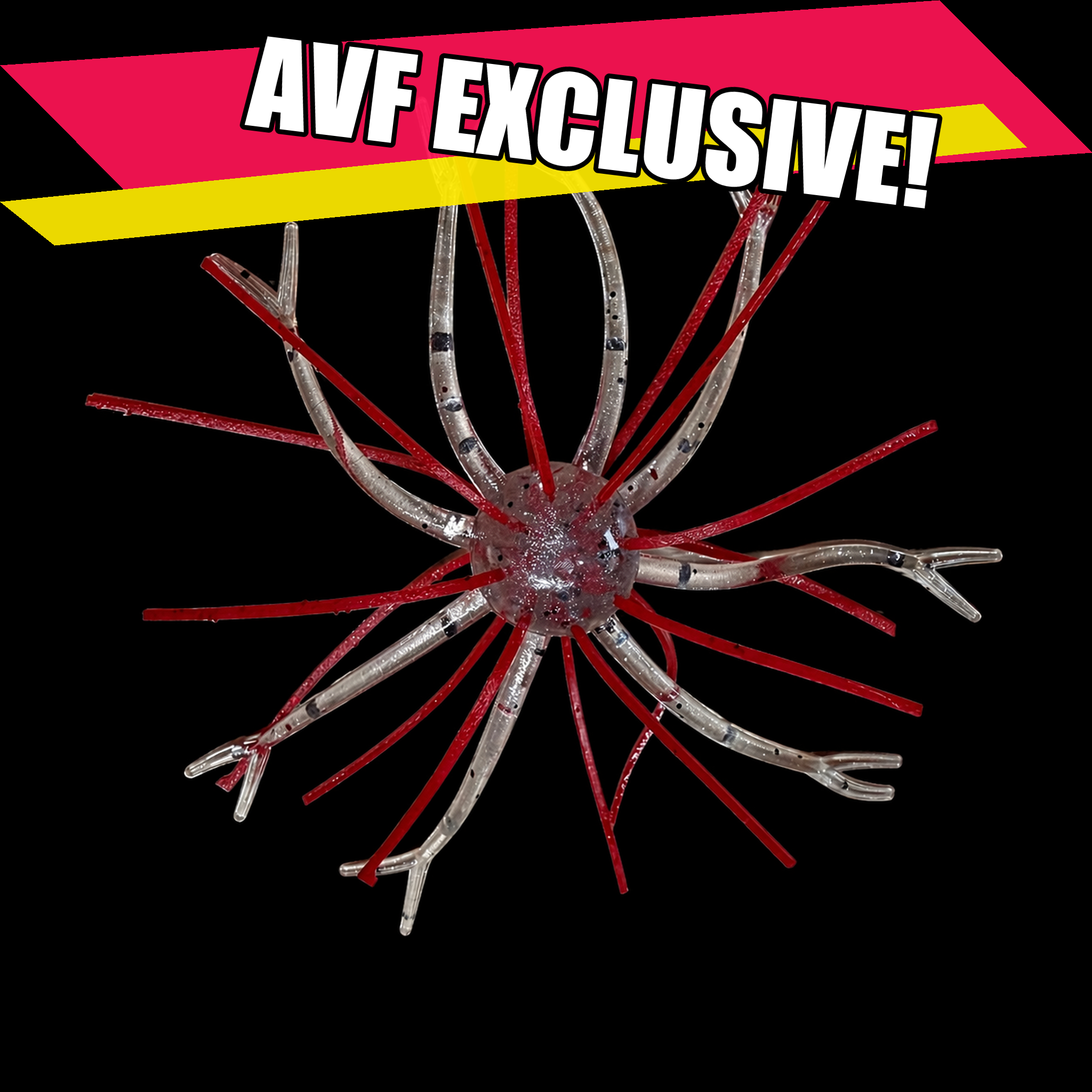 The Anomaly - AVF First Blood - AVF Exclusive