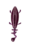 Hag's Ditch Devil custom soft plastic bait - in action