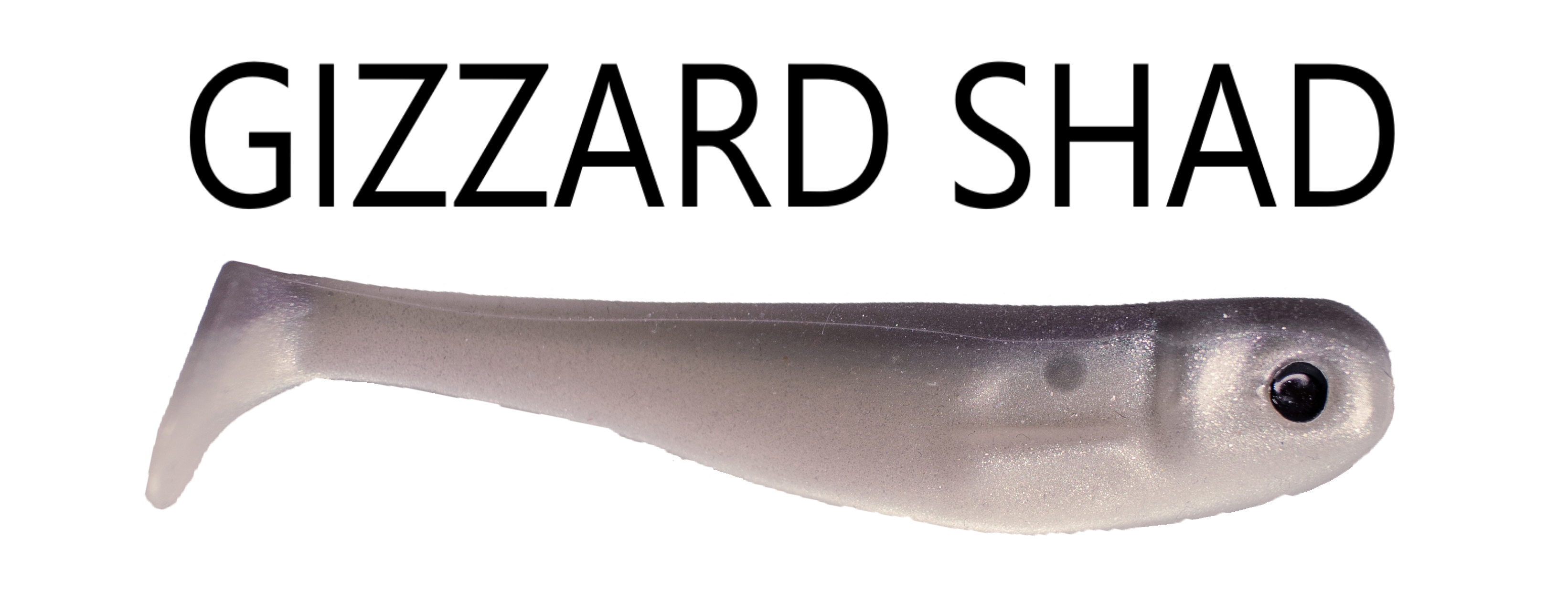 Big Joshy 2.75" Minnow 7 Pack + Jig soft plastic bait - color options