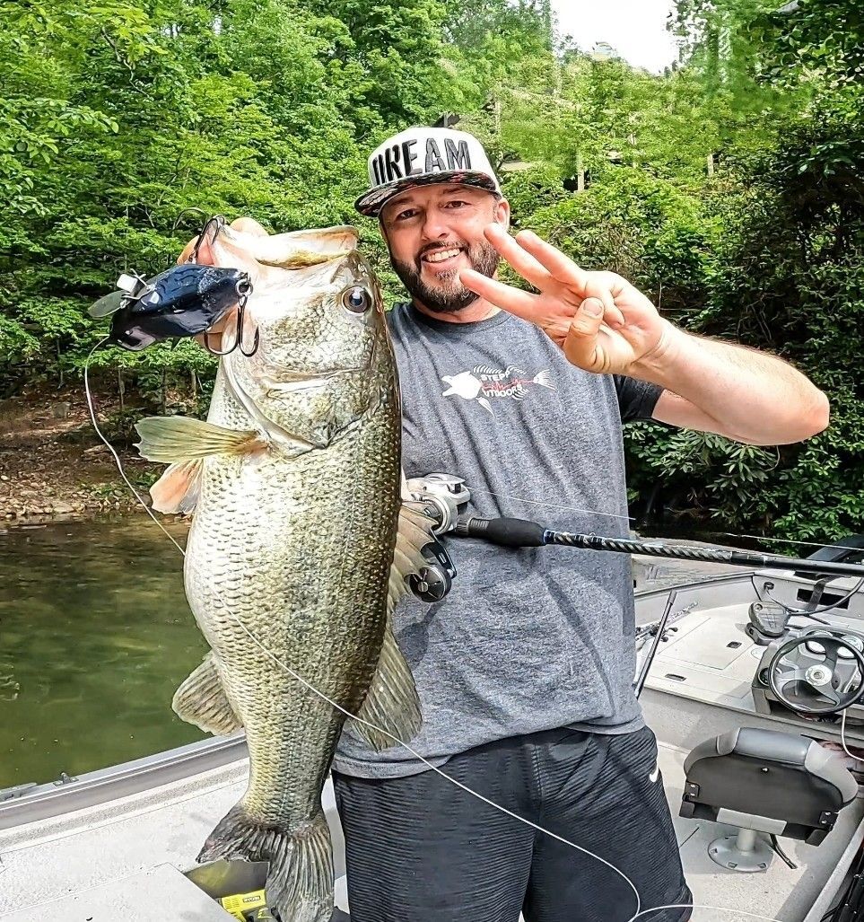 Defiant The Bird - WHITE