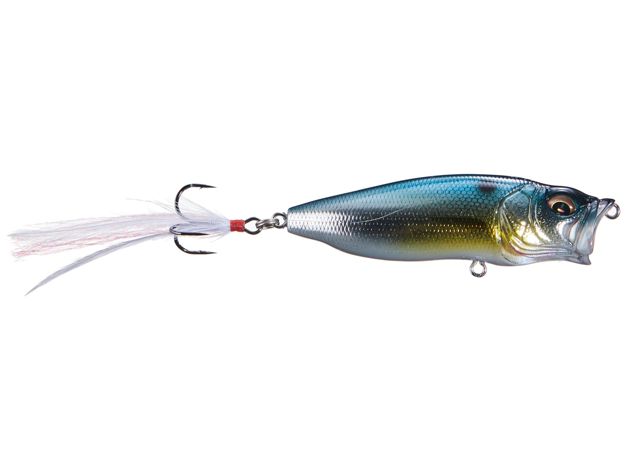 M Threadfin Shad