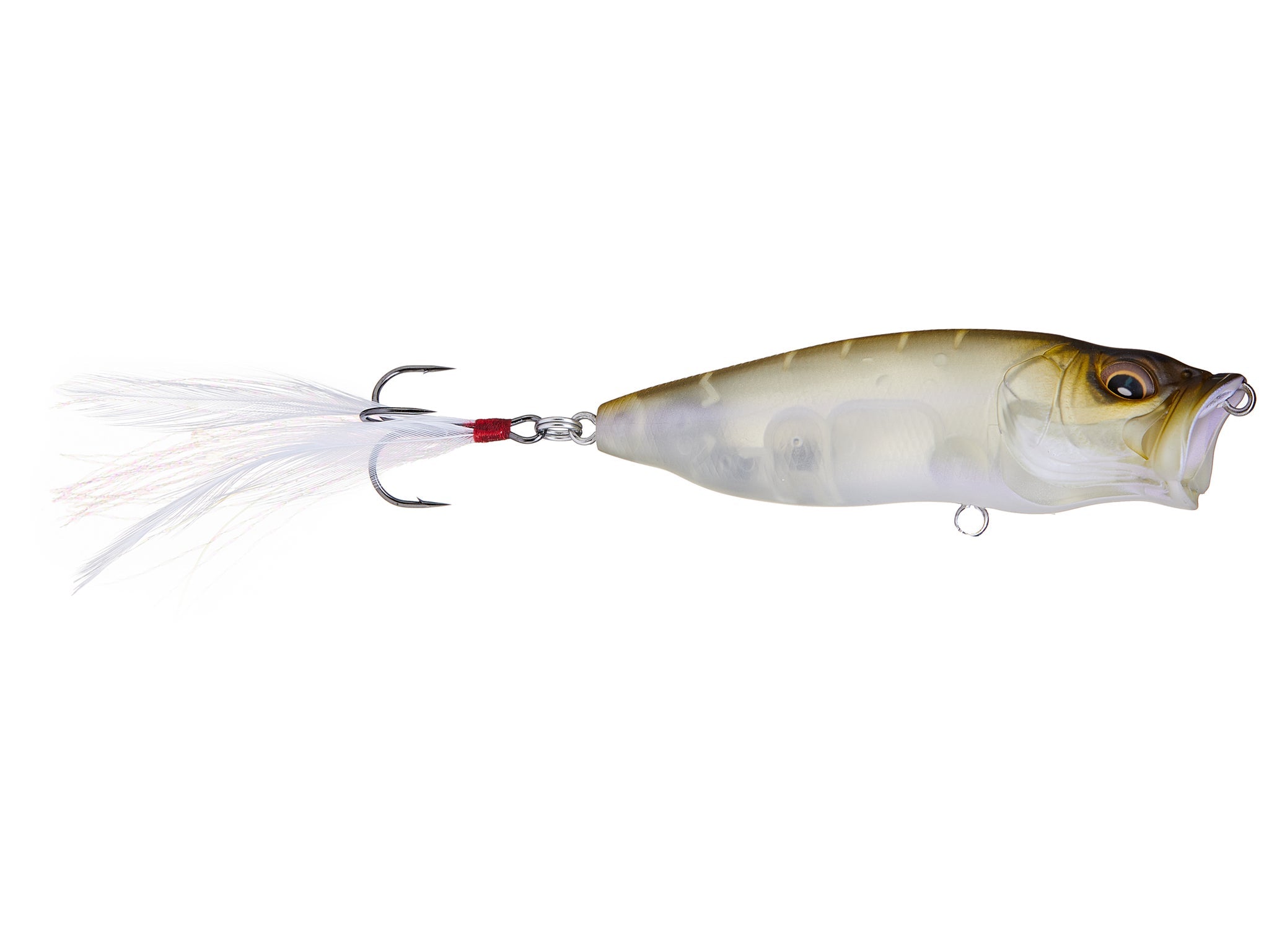 Megabass Pop Max Japanese fishing lure - view 14